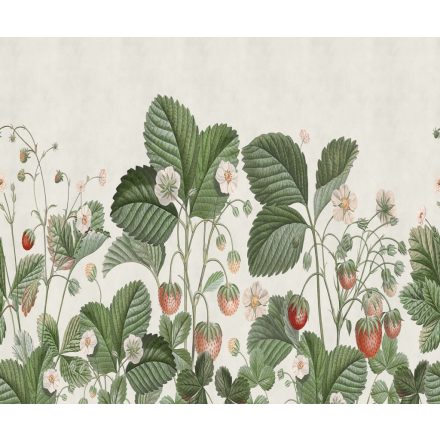 Rebel Walls / Cottage Core - Cottage Cool