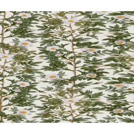 Rebel Walls / Cottage Core - Cottage Cool