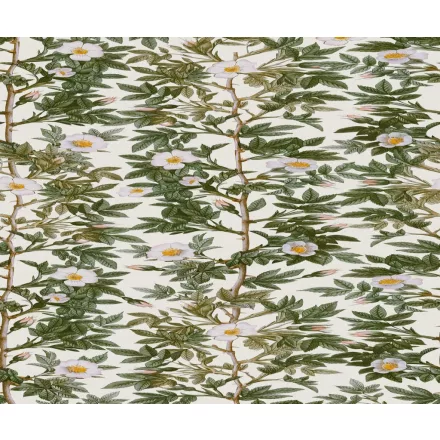 Rebel Walls / Cottage Core - Cottage Cool