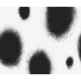 Rebel Walls / Natural Aesthetics