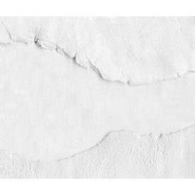 Rebel Walls / Natural Aesthetics