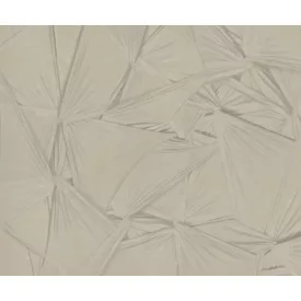 Rebel Walls / Natural Aesthetics