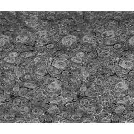 Rebel Walls / Natural Aesthetics