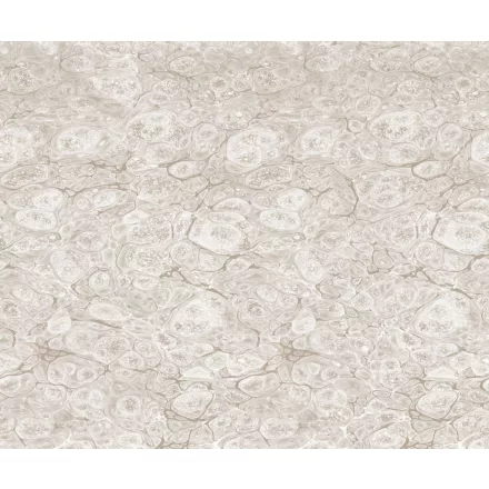 Rebel Walls / Natural Aesthetics