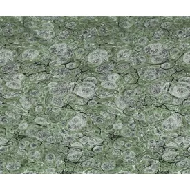 Rebel Walls / Natural Aesthetics