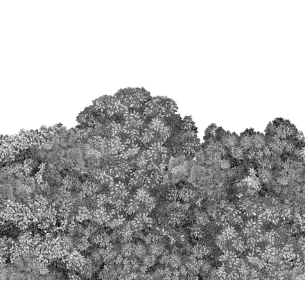 Rebel Walls / Scenic Landscapes