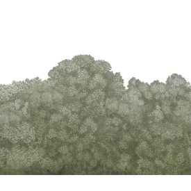 Rebel Walls / Scenic Landscapes