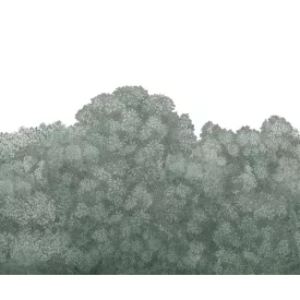 Rebel Walls / Scenic Landscapes