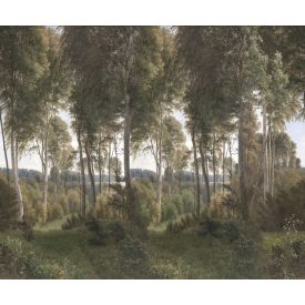 Rebel Walls / Scenic Landscapes