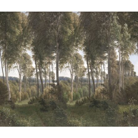 Rebel Walls / Scenic Landscapes