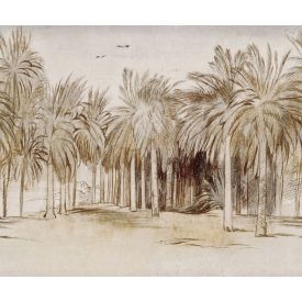 Rebel Walls / Scenic Landscapes