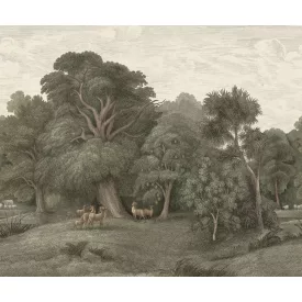 Rebel Walls / Scenic Landscapes