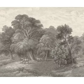 Rebel Walls / Scenic Landscapes