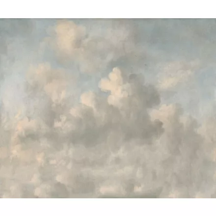 Rebel Walls / Scenic Landscapes