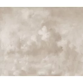 Rebel Walls / Scenic Landscapes