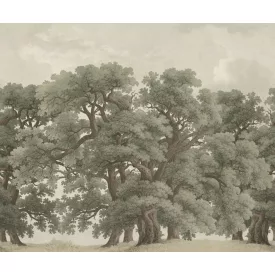 Rebel Walls / Scenic Landscapes