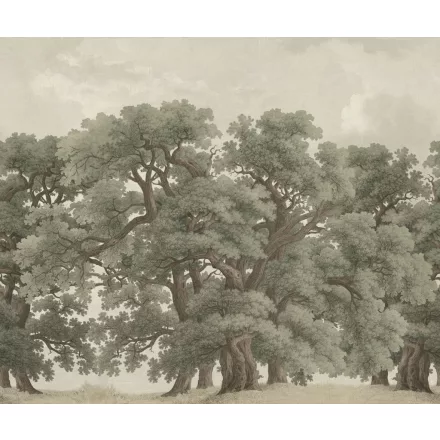 Rebel Walls / Scenic Landscapes