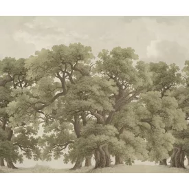 Rebel Walls / Scenic Landscapes