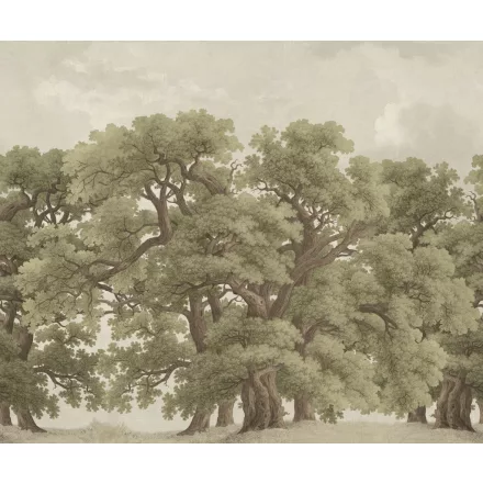 Rebel Walls / Scenic Landscapes