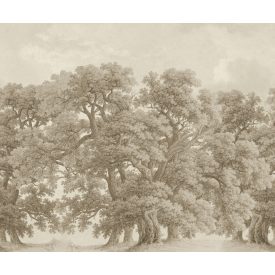 Rebel Walls / Scenic Landscapes