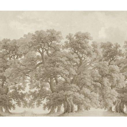 Rebel Walls / Scenic Landscapes