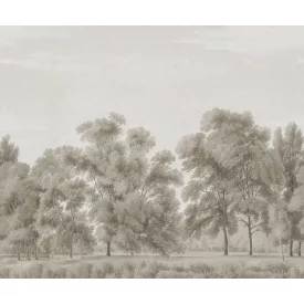 Rebel Walls / Scenic Landscapes