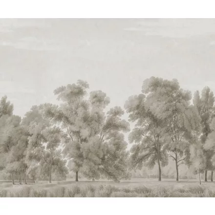 Rebel Walls / Scenic Landscapes