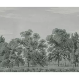 Rebel Walls / Scenic Landscapes