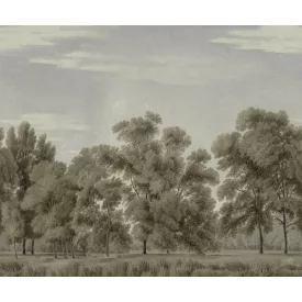 Rebel Walls / Scenic Landscapes