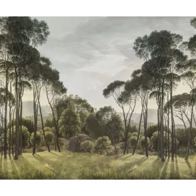 Rebel Walls / Scenic Landscapes