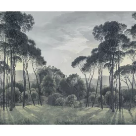 Rebel Walls / Scenic Landscapes