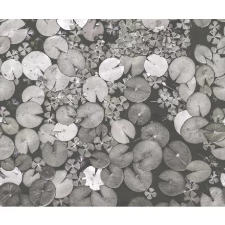 Rebel Walls / Mistic Shades