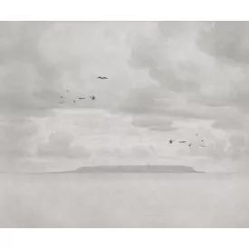 Rebel Walls / Mistic Shades