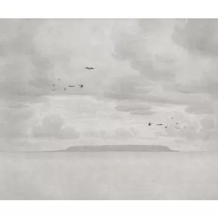 Rebel Walls / Mistic Shades