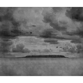 Rebel Walls / Mistic Shades