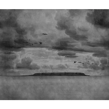 Rebel Walls / Mistic Shades