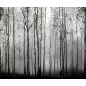 Rebel Walls / Mistic Shades