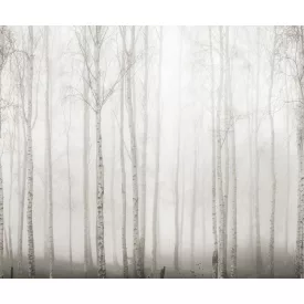 Rebel Walls / Mistic Shades