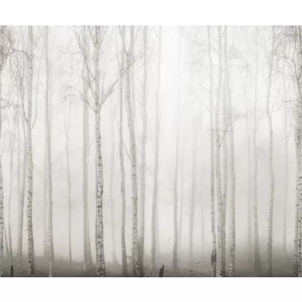 Rebel Walls / Mistic Shades