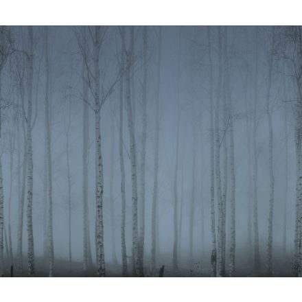 Rebel Walls / Mistic Shades