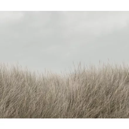 Rebel Walls / Mistic Shades