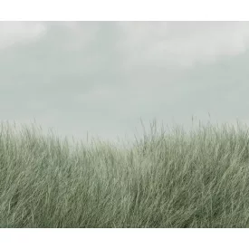 Rebel Walls / Mistic Shades