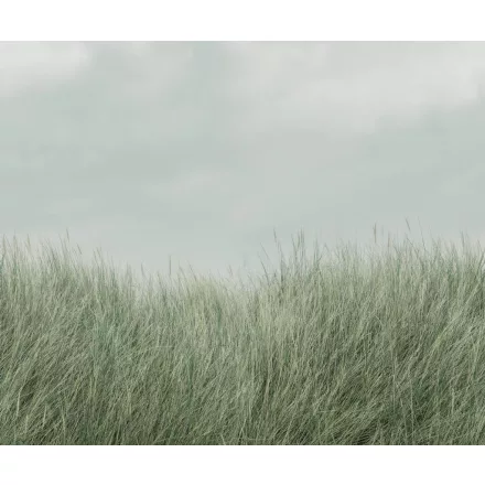 Rebel Walls / Mistic Shades