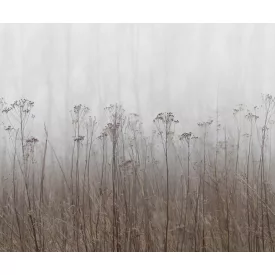 Rebel Walls / Mistic Shades