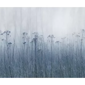 Rebel Walls / Mistic Shades