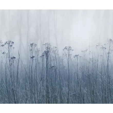 Rebel Walls / Mistic Shades