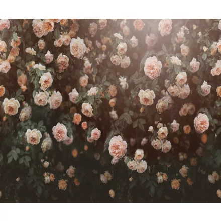 Rebel Walls / Mistic Shades