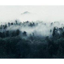 Rebel Walls / Mistic Shades