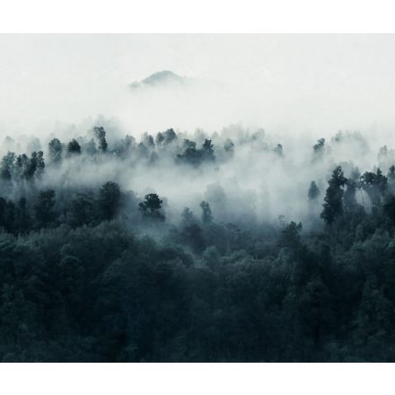 Rebel Walls / Mistic Shades