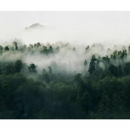 Rebel Walls / Mistic Shades